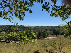 Property has two ponds, (lower pond is spring-fed) views, electric and rural water available running along the county road. Various nice building spots to watch the deer roaming the property. Some fencing on property and has been surveyed. No subdividing of property.