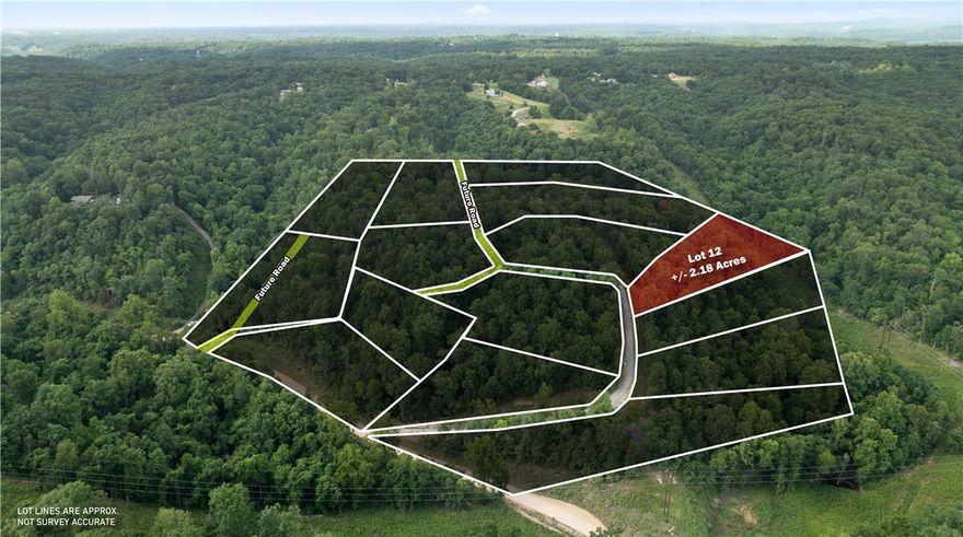 Perfect opportunity to build your dream home on this +/- 2.18-acre wooded residential lot, located just 5
miles from the Beaver Lake Boat Ramp and Lakeshore. Tucked away in a secluded, peaceful setting, this
property offers a quiet rural lifestyle with convenient access to town. Electric is already available on-site,
while a water well and septic system will be needed. With County Zoning, the current site plan is
preliminary and can be tailored to suit your needs in both size and shape, offering flexibility for your ideal build. Esculapia Hollow Rd is currently a dirt road, however, it is set to be paved this summer. Ideally situated approx. 3.5 miles from Lake Atlanta, 4 miles from Downtown Rogers, and 6 miles from Horseshoe Bend Marina, this lot provides the best of both worlds - tranquil living with easy access to outdoor recreation, shopping, dining, and more. Don't miss out on this prime piece of Northwest Arkansas real estate!