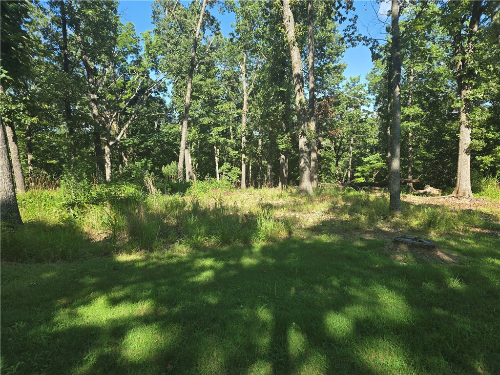 16-19-29-RURAL - Land