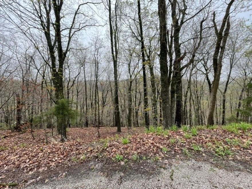 Beautiful lot with lots of potential! Plenty of wildlife for a rural feel but close to Eureka Springs. 2 Golf courses, country club, recreation center, swimming pool, park, tennis courts, ball field, marina and fishing dock, to name a few amenities. Don't let an opportunity like this pass you by!
