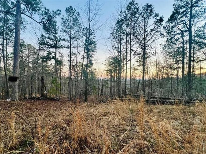 5 acres m/L.  Unrestricted, and joining Buffalo National Park Service.  Located less than ½ mile down gravel road, and within 2 miles of river access.  Power along road at property.  Potential for good Southern views with some clearing.