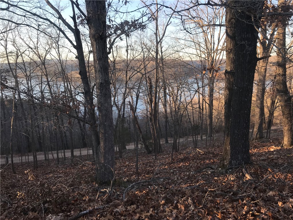Oak Ridge Park Ph IV - Land