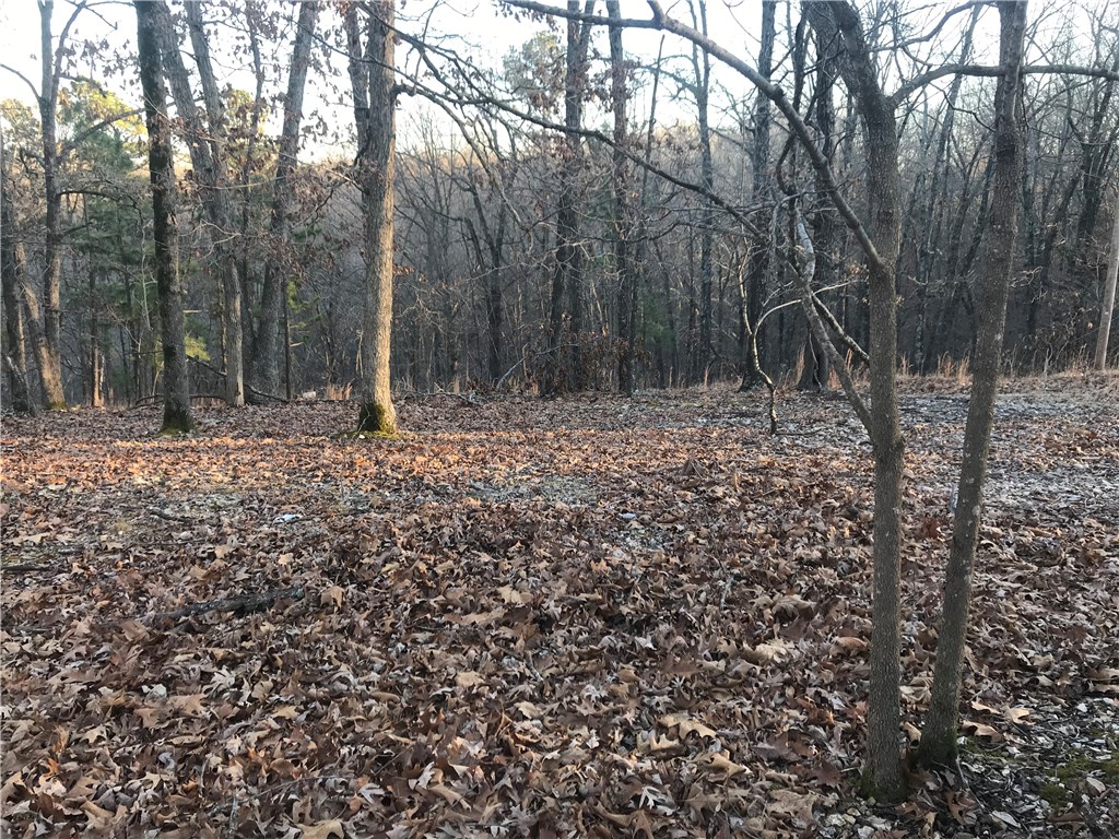 Oak Ridge Park Ph IV - Land