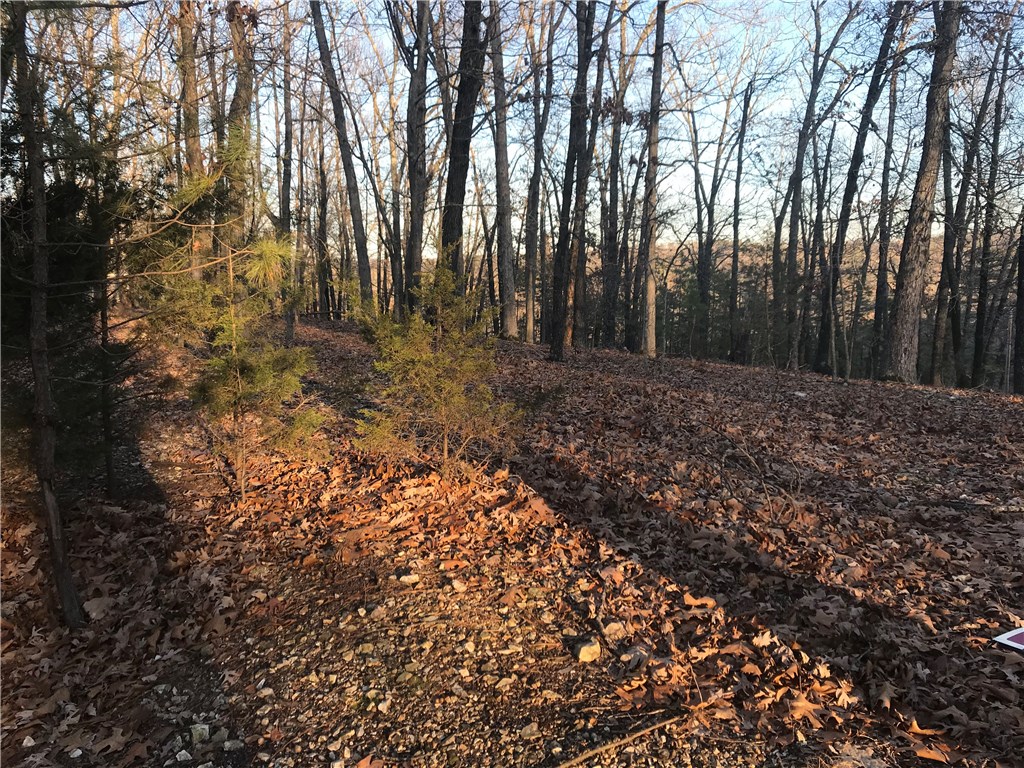 Oak Ridge Park Ph IV - Land