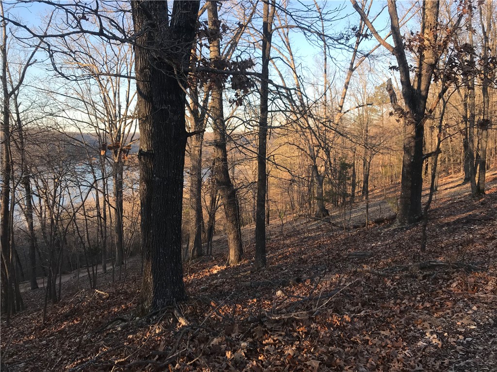 Oak Ridge Park Ph IV - Land