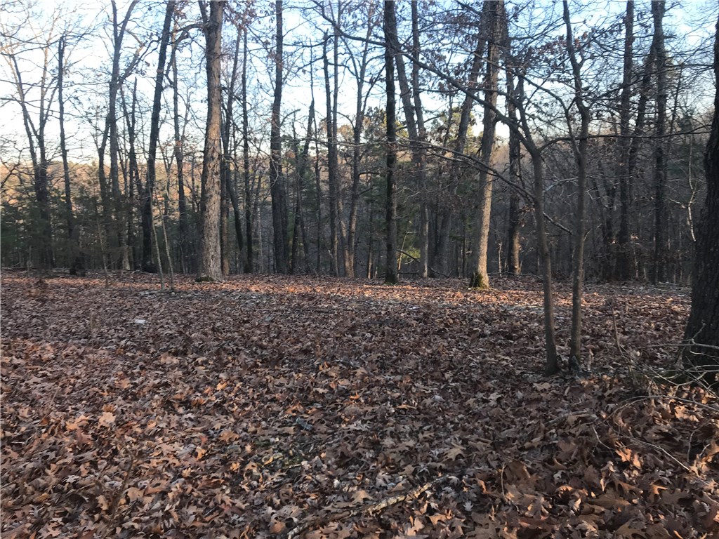 Oak Ridge Park Ph IV - Land