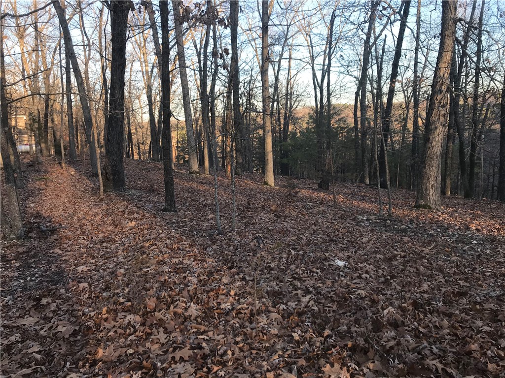 Oak Ridge Park Ph IV - Land