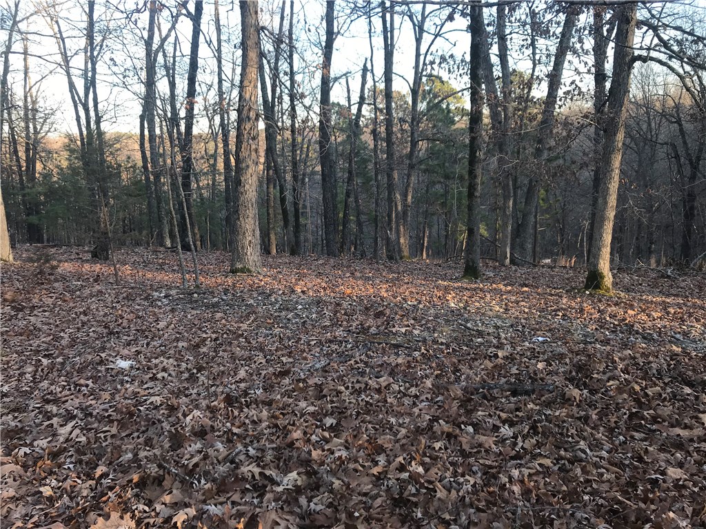 Oak Ridge Park Ph IV - Land