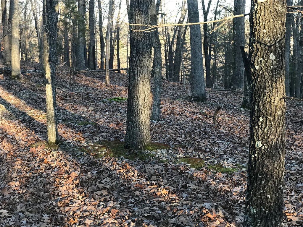 Oak Ridge Park Ph IV - Land