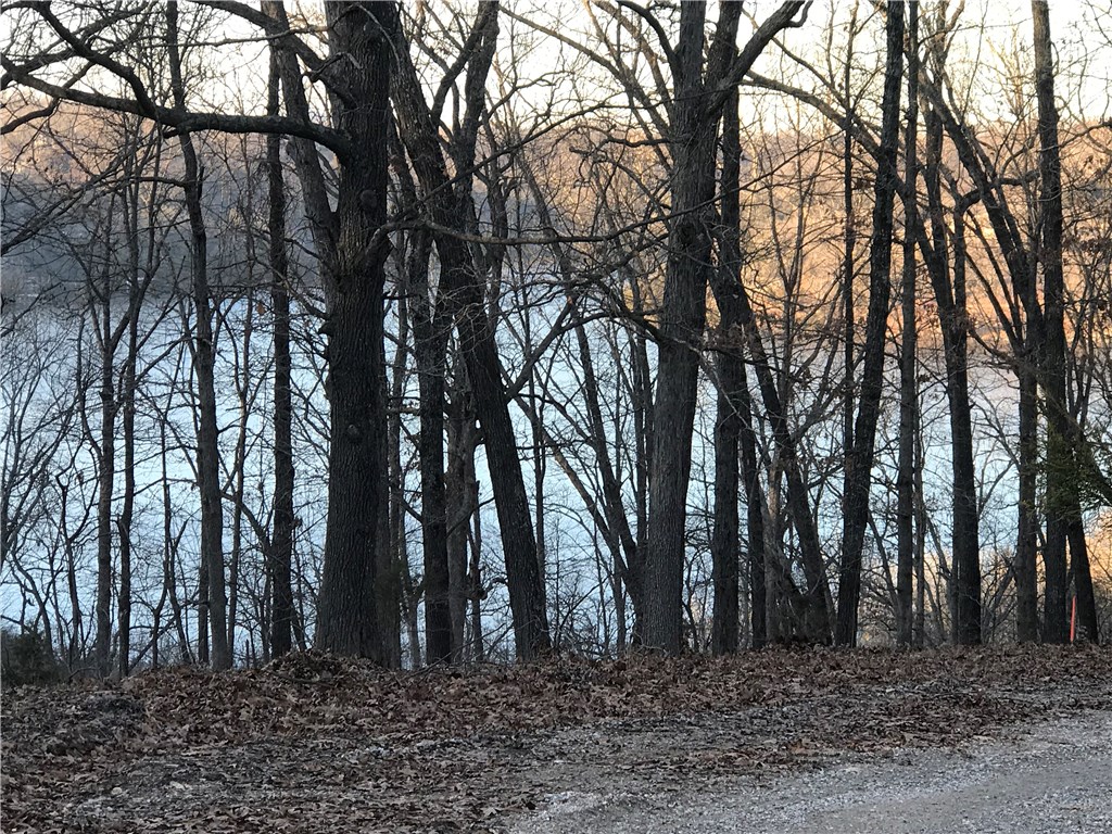Seasonal Beaver Lake view lot . Nice views in front and behind it. Nice flat area for your home . Cleared of underbrush . Community water and electric at the lot . Great neighborhood . Amble Lane and Arden Lane are on each side. Seller financing is available with 1/3 down and paid in full in 3-5 years .