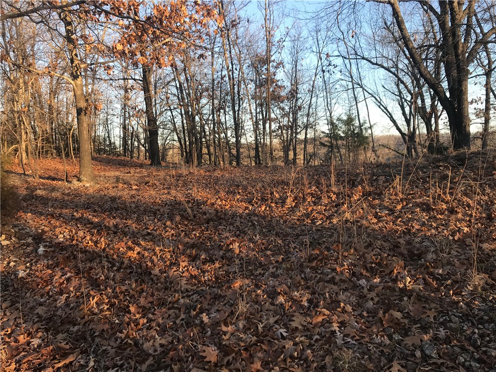 Oak Ridge Park Ph IV - Land