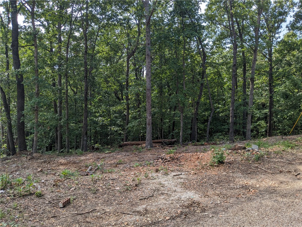 Nice lot on Litton lane, near new homes being built.