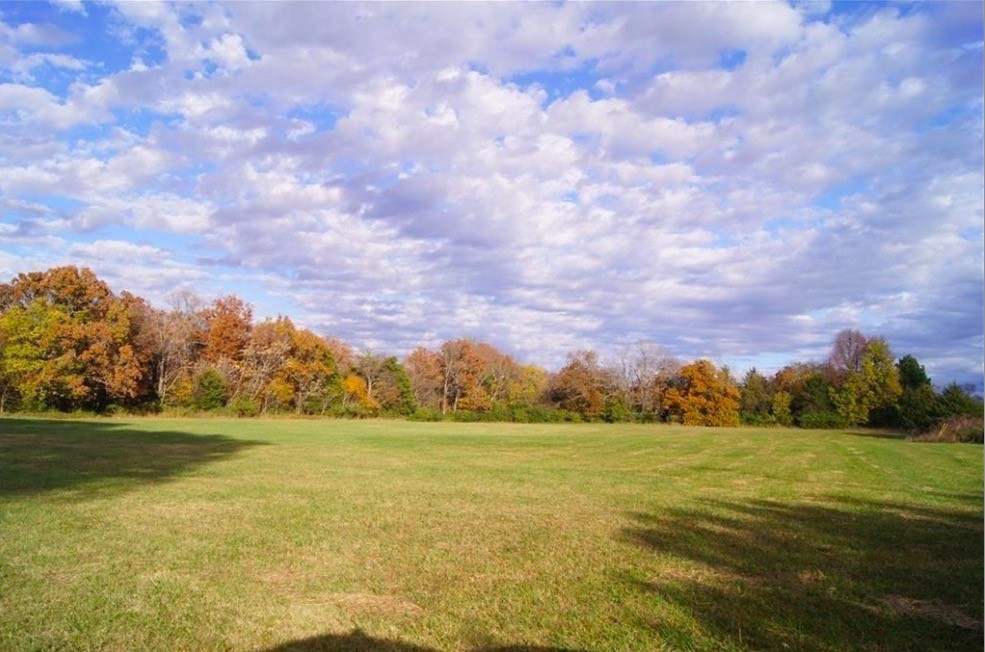 29.8 acres zoned C-3. Open, level and perfectly positioned outside Fayetteville city limits, yet conveniently close to all the amenities you need.