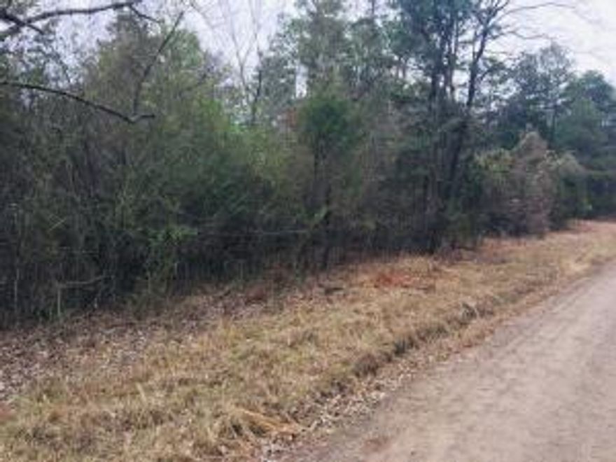 With just a short drive to beautiful Piney Bay, Russellville, or Clarksville, the location of your new home will be very convenient! Owner financing offered on this lovely lot in the coveted Eagles Nest Subdivision. See it today! Huge acre-and-a-half lot..