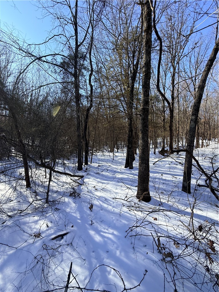 Forest Heights So #2 - Land