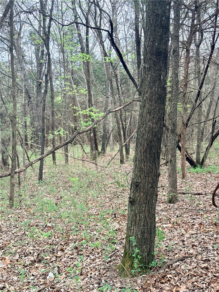 Forest Heights So #2 - Land