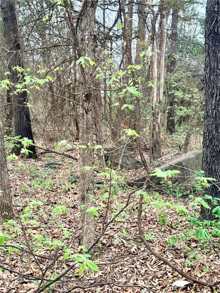 Forest Heights So #2 - Land