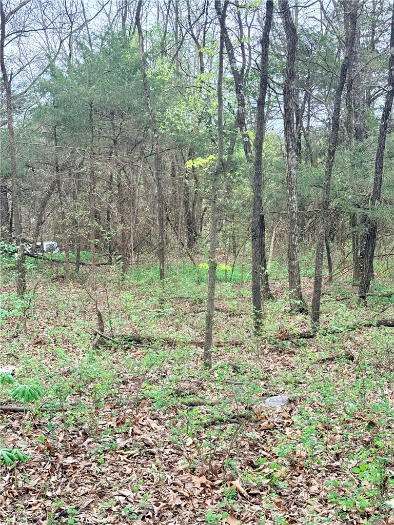 Forest Heights So #2 - Land