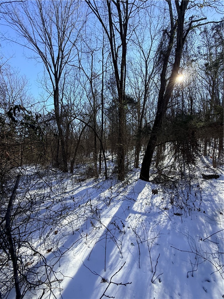 Forest Heights So #2 - Land