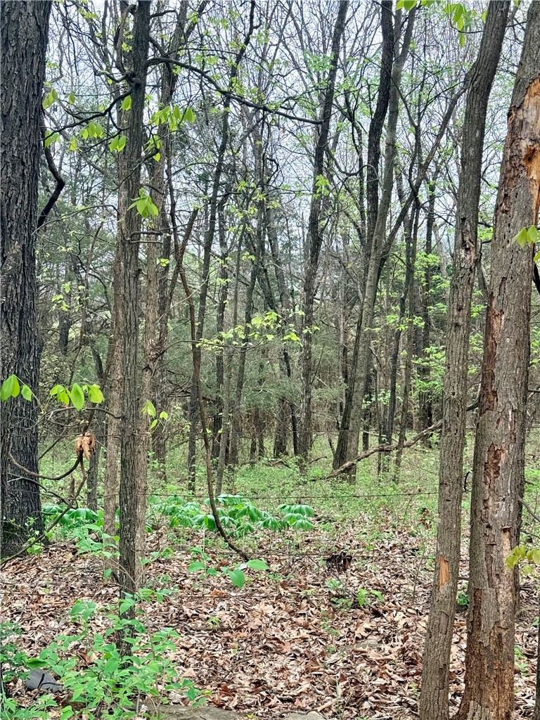 Forest Heights So #2 - Land