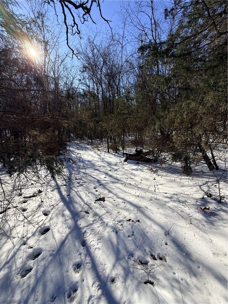 Forest Heights So #2 - Land