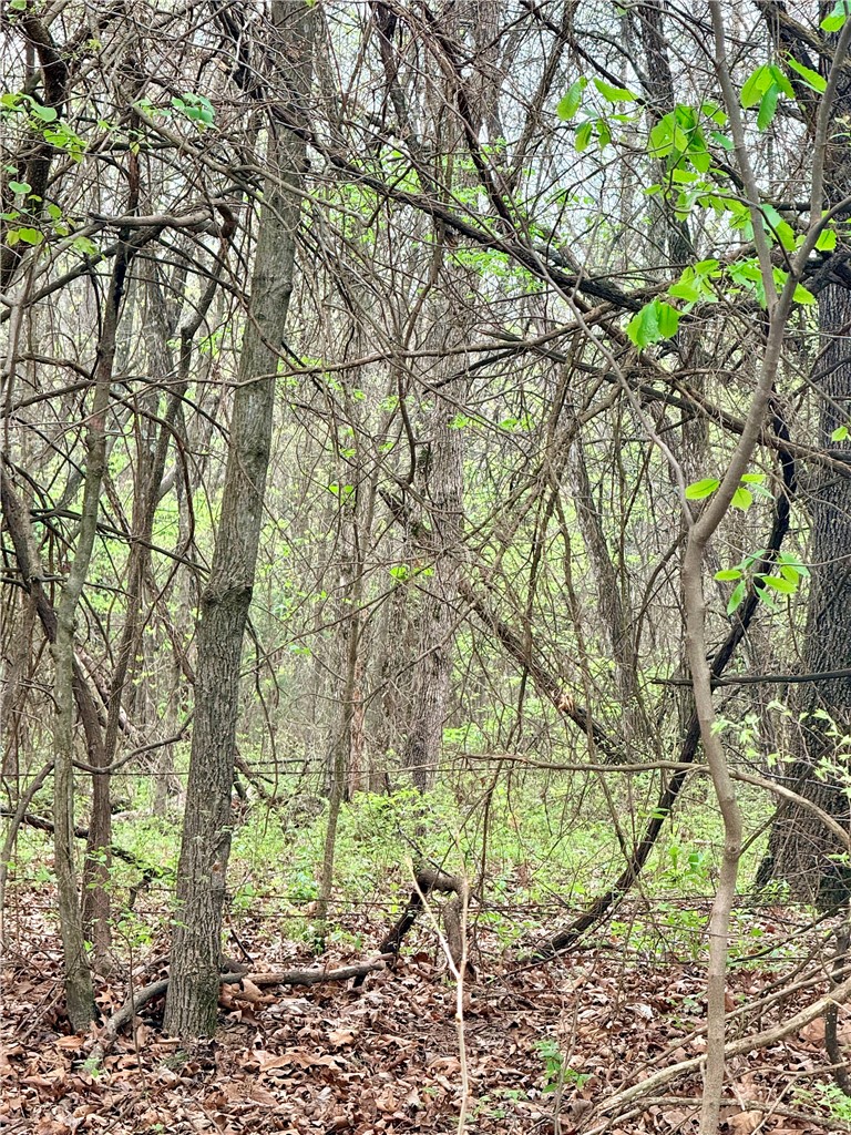 Forest Heights So #2 - Land