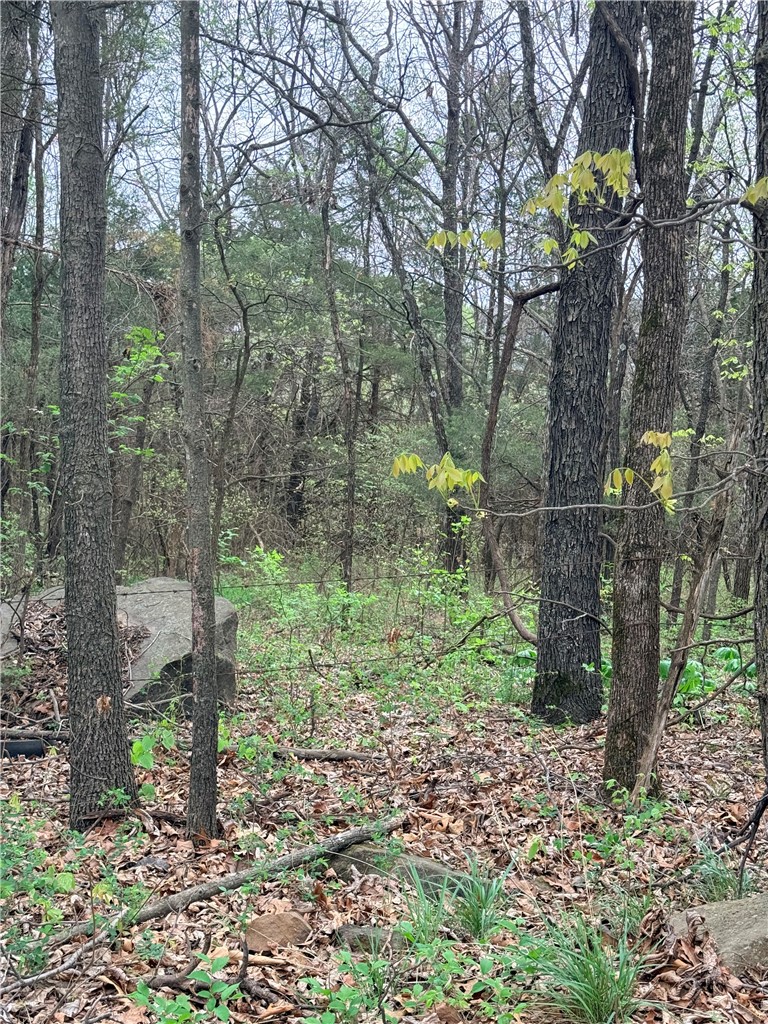 Forest Heights So #2 - Land