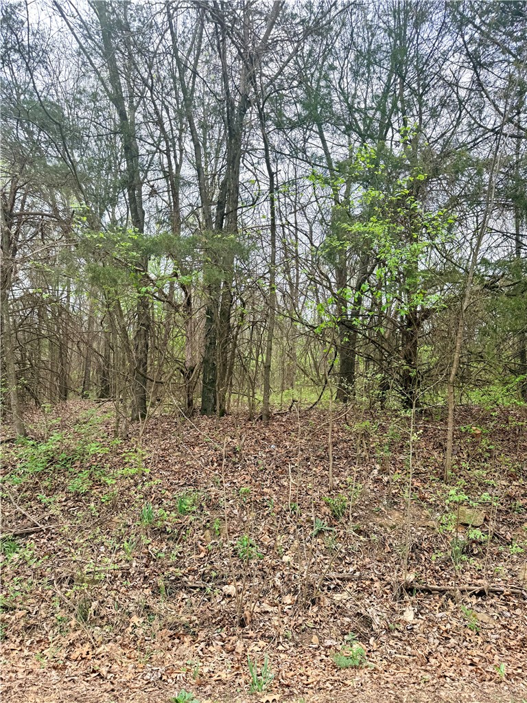 Forest Heights So #2 - Land