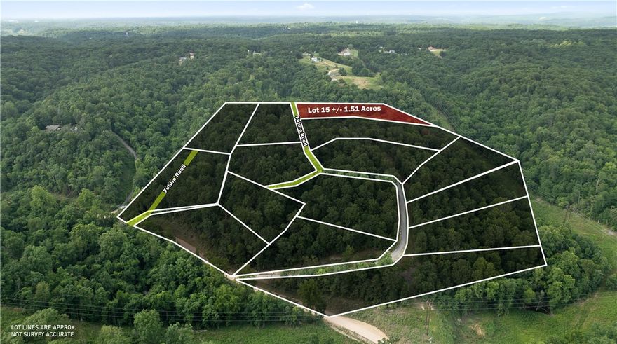 Perfect opportunity to build your dream home on this +/- 1.51-acre wooded residential lot, located just 5
miles from the Beaver Lake Boat Ramp and Lakeshore. Tucked away in a secluded, peaceful setting, this
property offers a quiet rural lifestyle with convenient access to town. Electric is already available on-site,
while a water well and septic system will be needed. With County Zoning, the current site plan is
preliminary and can be tailored to suit your needs in both size and shape, offering flexibility for your ideal build. Esculapia Hollow Rd is currently a dirt road, however, it is set to be paved this summer. Ideally situated approx. 3.5 miles from Lake Atlanta, 4 miles from Downtown Rogers, and 6 miles from Horseshoe Bend Marina, this lot provides the best of both worlds - tranquil living with easy access to outdoor recreation, shopping, dining, and more. Don't miss out on this prime piece of Northwest Arkansas real estate!