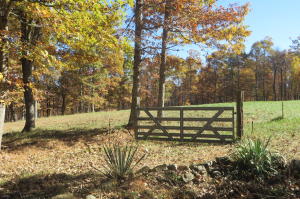 Want a place to just escape reality for the weekend? Situated on 10+/- acres, with a small pond and surrounded by forests and open spaces you will find this 2 bedroom, 1.5 bath getaway house. This two story house offers two wells, a basement, a spacious kitchen, storage building outside and so much more.