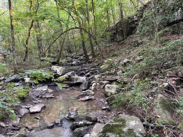 A hunters dream! This 30 acres has a stream, a view and trees, trees and more trees. Money could be made by selling the timber, then building with a beutiful view. The possibillities are endless on this property. A little piece of heaven on earth.