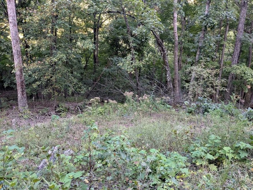 New Price!! This won't last long, so if you're thinking of building your dream home reach out today to plan your tomorrow! Quiet and gently wooded, this lot offers the best of both worlds. Enjoy the amenities in Holiday Island like golf courses, a country club, swimming, tennis and a marina with a fishing dock or watch the local fauna from your deck! Nearby Eureka Springs or Rogers offers great shopping and vibrant cultural hubs.