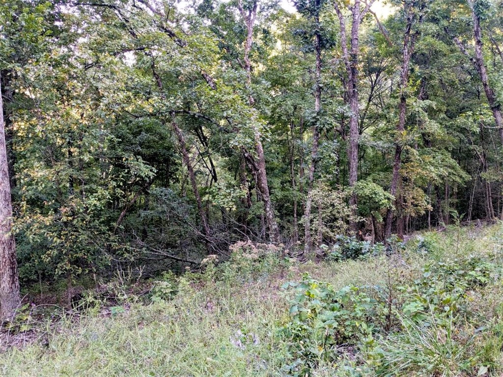 Unit 11 Holiday Island - Land