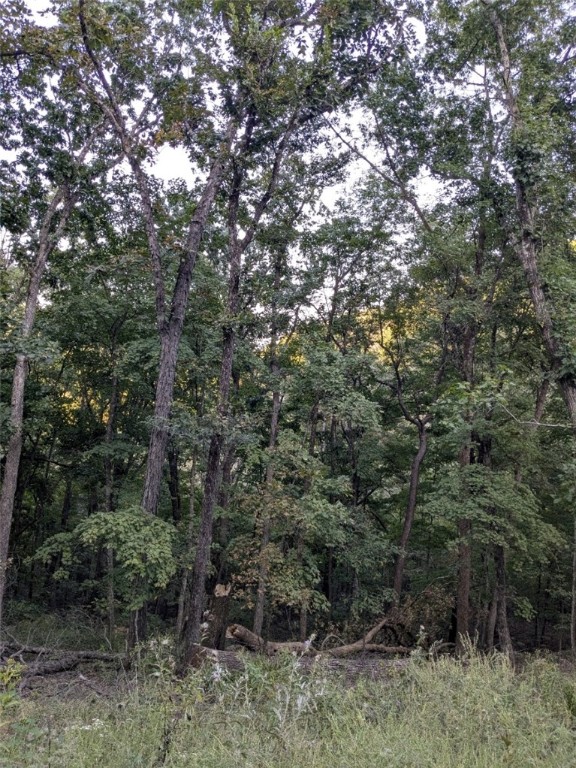 Unit 11 Holiday Island - Land