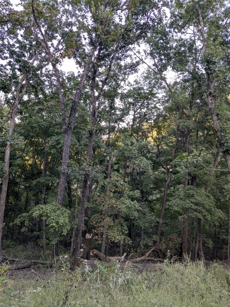 Unit 11 Holiday Island - Land