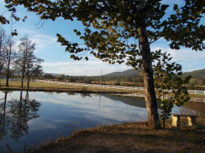 Have you been looking for a view of the mountains ? You can look at beautiful Mt Nebo every day from this property. Have you been looking for some land for the family, to raise cows or horses and to ride 4-wheelers ? This property comes with 16 acres, a barn with four stables, pastures, woods and two fishing ponds. Make an appointment today and to see that here it is, just what you've been looking for !More pictures after moving sale.