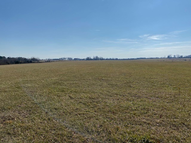 43.24 acre tract just off of Hwy 94. Minutes from downtown Pea Ridge. This property is perfect for just about anything! Perfect for subdivision.
