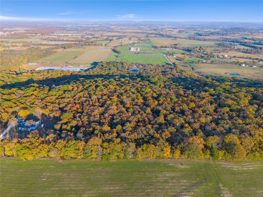 Pending Before Print