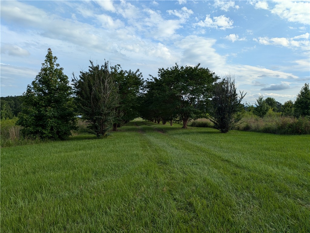 Other Subdivision in Johnson Co - Residential