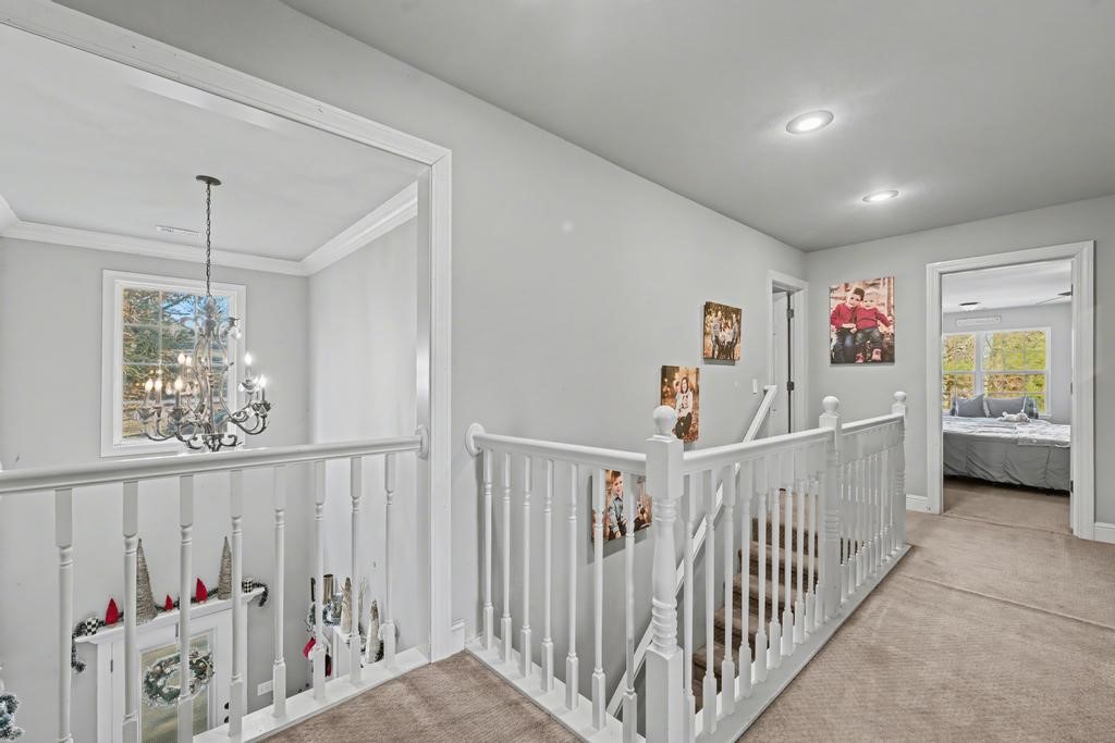 Runnymede - Residential