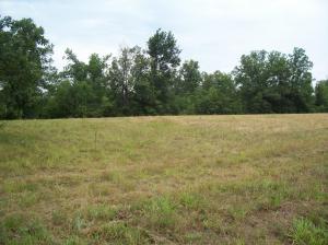 Nice views, NO restrictions, some large trees, some pasture, great building sites, and the owner states that there is a year round spring on the property.