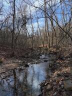 Vacant land brimming with wildlife--great hunting and hiking! Two caves and numerous streams dot the landscape. Land, untouched for years, just waiting for someone interested in living off grid!Must call office or agent to notify neighbor and for directions onto deeded easement to property that is for sale.