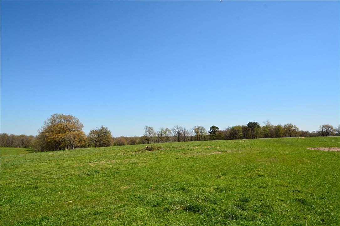 One of a kind subdivision in Northwest Arkansas with 10+ acreage lots! Build your dream home with lots of space in a quiet setting. Choose a nice rolling lot or a more wooded lot towards the back of the subdivision. Lots 1-3 are Reading Rd frontage. Located just minutes to XNA and 20 minutes to Bentonville. Or just minutes to Gentry, Siloam Springs, and Springdale. City water is ran throughout the subdivision. Electric is at the street.