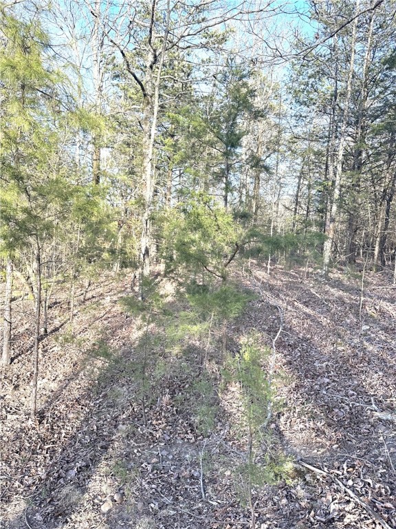 Unleash your passion for the outdoors on this 20+ acre wooded haven, ideal for recreation and hunting.Claim this slice of wilderness and turn your outdoor aspirations into reality today!