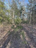 Unleash your passion for the outdoors on this 20+ acre wooded haven, ideal for recreation and hunting.Claim this slice of wilderness and turn your outdoor aspirations into reality today!