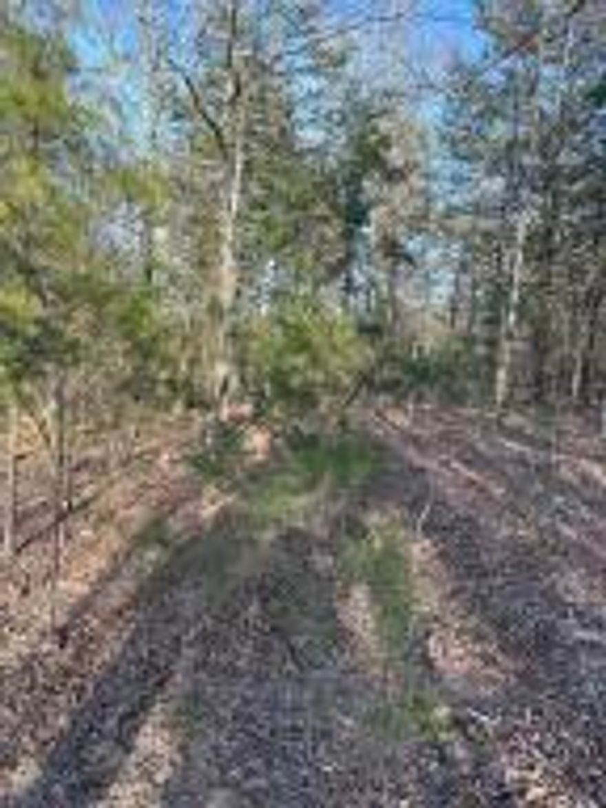 Unleash your passion for the outdoors on this 20+ acre wooded haven, ideal for recreation and hunting.Claim this slice of wilderness and turn your outdoor aspirations into reality today!