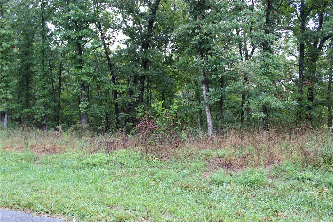 Great Opportunity to purchase a lot for building, speculation, or just membership. Lot slopes from front to back and has existing survey pins. New construction in the area and located close to Lake Ann with trails nearby!