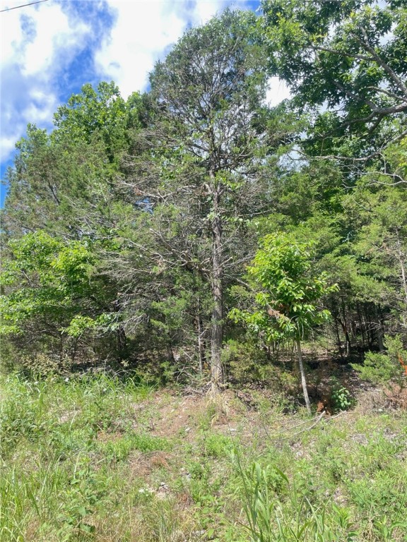 Location , location near table rock lake , eureka springs, holiday island, branson missouri, rogers , bentonville. Great lot ready to build dream home , come see this lot with mature trees, on an island with table rock lake across the street. build a three story home and catch the sunrise and a view of table rock lake.