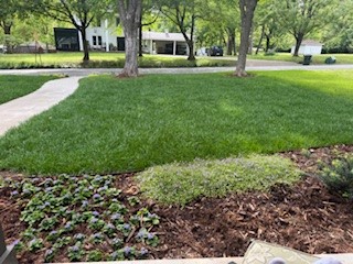 City Park Addaltrents Rev - Residential