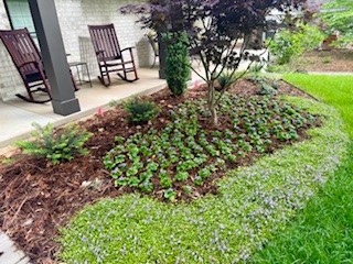 City Park Addaltrents Rev - Residential